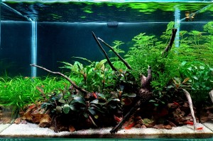 0007. Méret: 38x22x25  