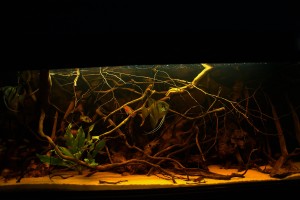 126. I . helyezett Máté Dániel