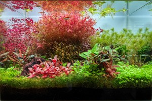 0010.  45x27x30 (~36 liter)