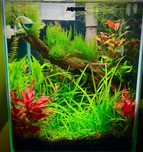 0005.  29x29x35, 30 liter