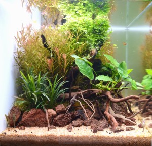 0012 . 45-30-30, 40 liter