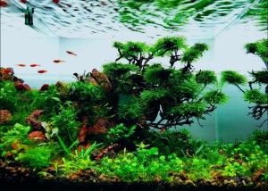 0014. The silence of the moment   (A pillanat csendje) 