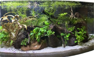 0065 .  60x24x30 íves