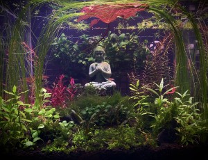 0072.  Nagyi ül a fűben.