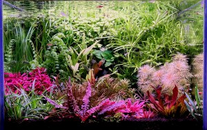 0089. 51 Liter(42*035*35)