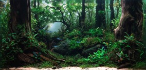 0028.  "The Waking Forest"