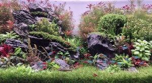 0002. Neon paradicsom