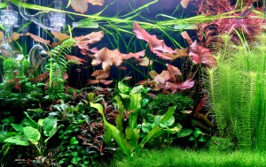 0037.  60-45-30  82l