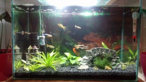 107.                       45*22*30   30L