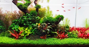 0064 .  Step by Step