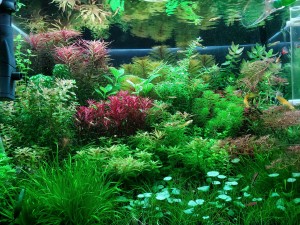 0103. 80 liter méret 55.40.40