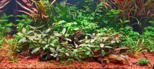 0095. 112 liter 70x40x40cm 