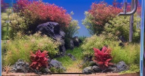 0123. Akvárium ( Coloradó völgy ) : 