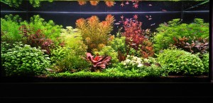 0113. 100x40x50-es W