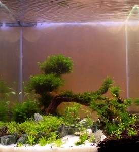 153.   30*30*30 27 Liter