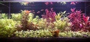 0067 . 112 liter; sztenderd 80x35x40