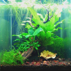 169. 31,5 liter  (30*30*35 cm)