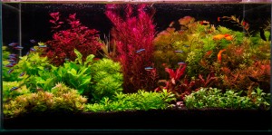 0096. 80x40x35 112 liter