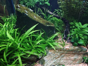 0116. 30x30x35, 31,5l