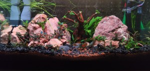 0106. Cím: Próbálkozás