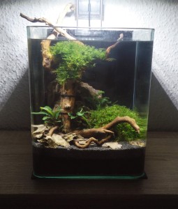 179.   10L-es medence