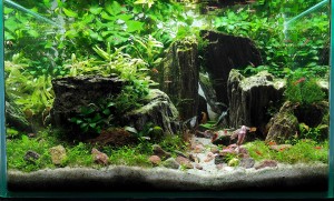 0130. Fény az alagút végèn.