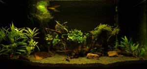 0108. Próbálkozás 