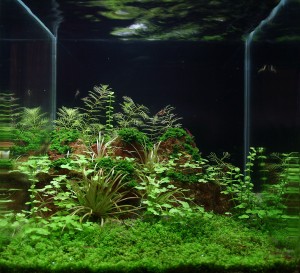 102 .           small uncut diamonds