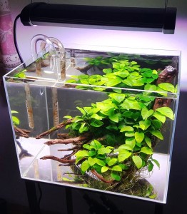 201. Akvárium mérete: 30x40x30 - 36L