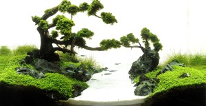 198.    II. helyezett     On the way to heaven