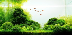 130 .                         Evolúció