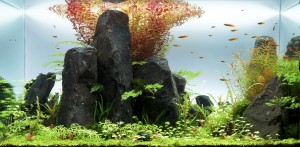 132 .                         Vulkán