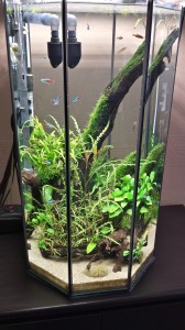 180.                                Oktogon