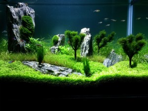 155.                  70x40x45x1