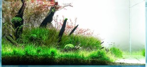 159.        Deserted Beach