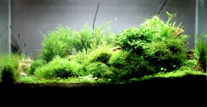 176.  126 literes akvárium