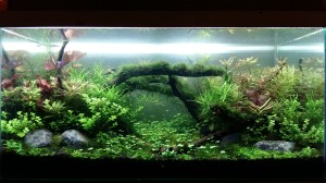 182.   Méret: 80*40*40