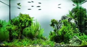 190.   Green Office (mehogy az irodában van)