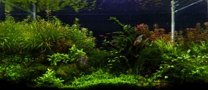 202. Brown Stone Mountain