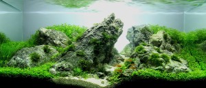 109.      I. helyezett             Vanaheim