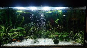 106.       80*35*40    110L