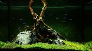 203. 80x35x50 140liter