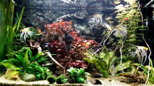 128.              105x65x48     327 L