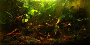 142.              40 liter