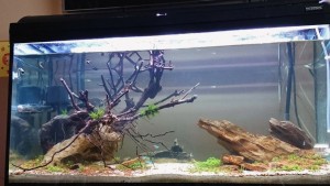 160.            200 literes low tech