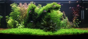 174.   100X50x40  ívelt frontüvegű