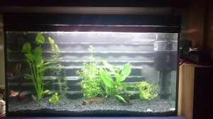 185 . 100 literes akvárium