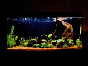 192. 200L 100x40x50 60W