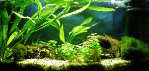 199.112 liter, low-tech