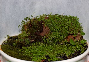 154.      200mm mázas agyagcserép